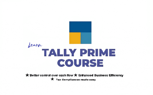 Tally Professional Course